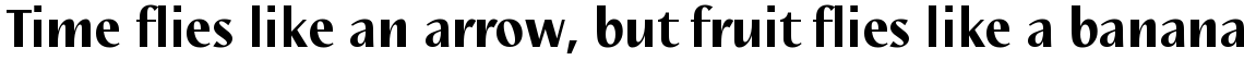Linotype Nautilus Black