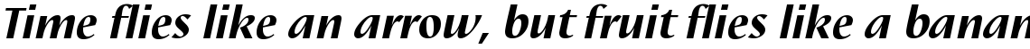 Linotype Nautilus Black Italic