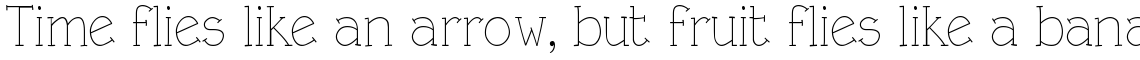 Linotype Rough Light
