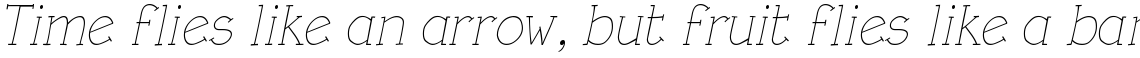 Linotype Rough Light Italic