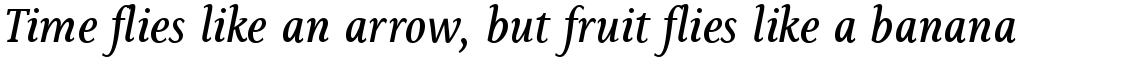 Sassoon Book Italic