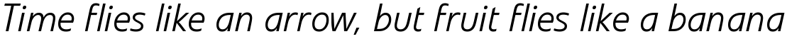 Veto Light Italic