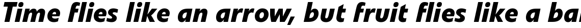 Veto Bold Italic