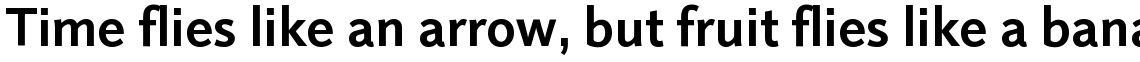 Linotype Projekt Bold