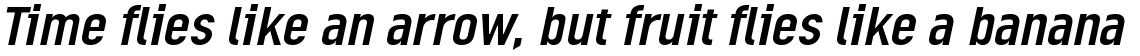 Linotype Ordinar Italic
