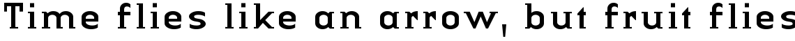 Linotype Authentic Small Serif Regular