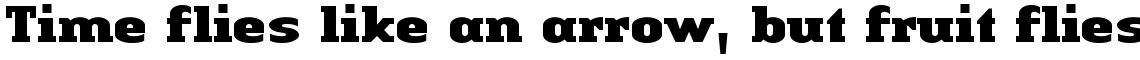 Linotype Authentic Serif Black