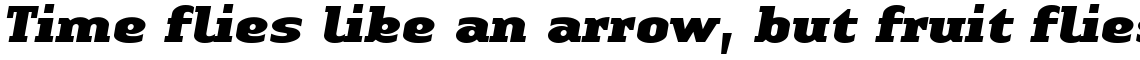 Linotype Authentic Serif Black Italic