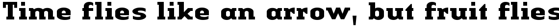 Linotype Authentic Serif Bold