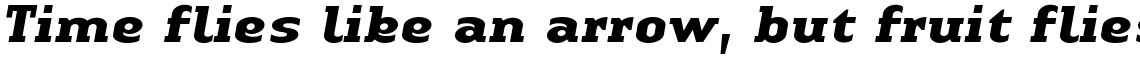 Linotype Authentic Serif Bold Italic