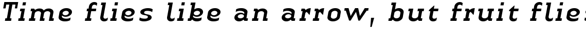 Linotype Authentic Serif Italic