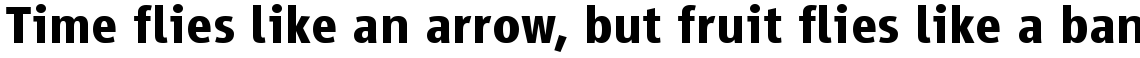 Vialog Bold