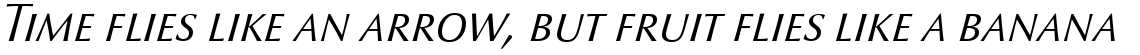 Optima nova Light Italic SC