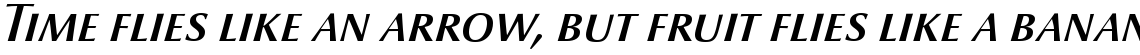 Optima nova Demi Italic SC