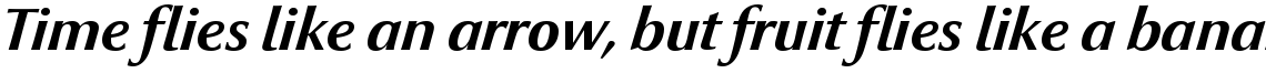 Optima nova Bold Italic