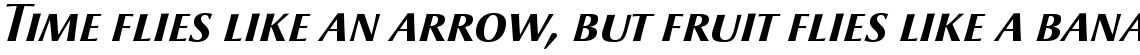 Optima nova Bold Italic SC