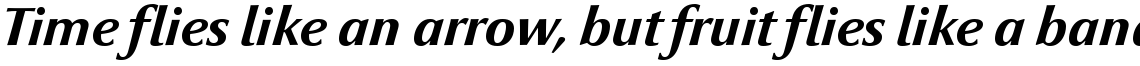 Optima nova Heavy Italic