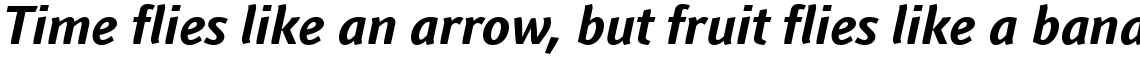 Linotype Textra Bold Italic