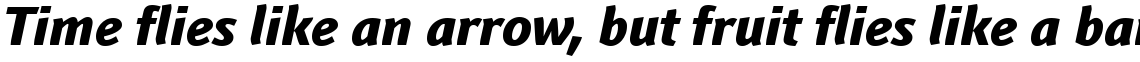 Linotype Textra Heavy Italic