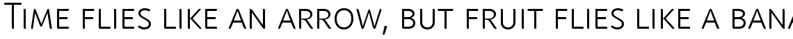 Linotype Textra Light SC