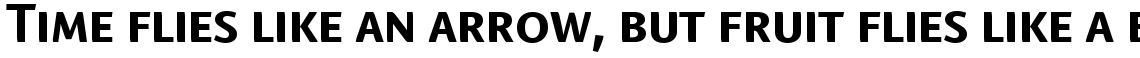 Linotype Textra Bold SC