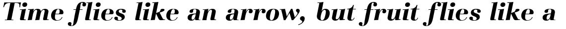 Basilia Bold Italic
