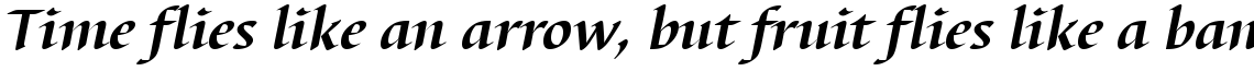 Barbedor Bold Italic
