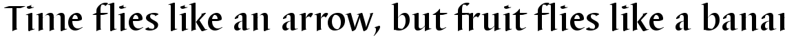 Barbedor Medium