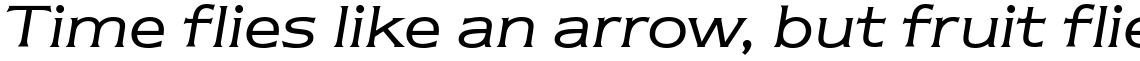 ITC Newtext Book Italic