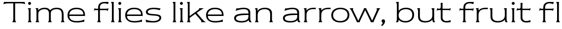 ITC Newtext Light
