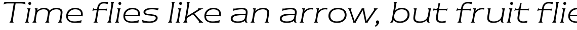 ITC Newtext Light Italic