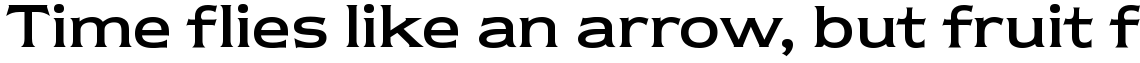 ITC Newtext Regular