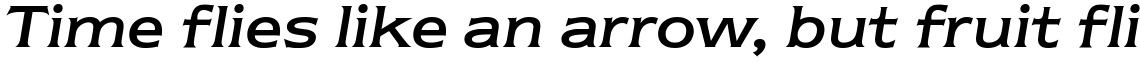 ITC Newtext Regular Italic