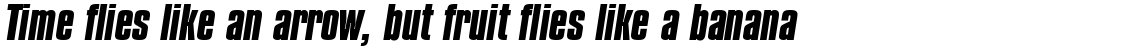 Compacta Bold Italic
