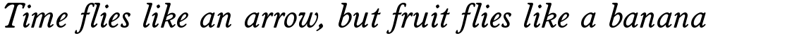 Worcester Rounded Italic