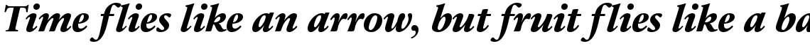 Sabon Next Extra Bold Italic OsF