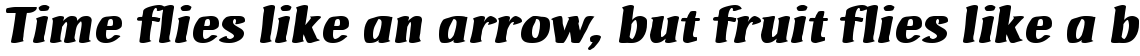 Ad Hoc Bis Italic