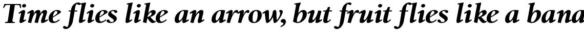 Birka Bold Italic