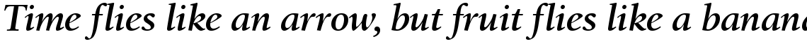 Birka Semi Bold Italic