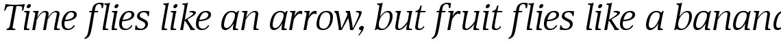 Devin Italic