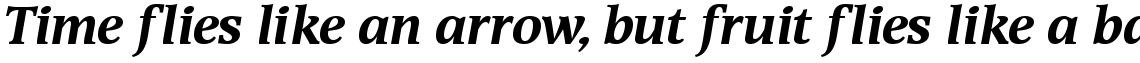 Devin Bold Italic