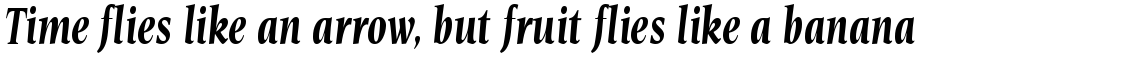 Esperanto Condensed Bold Italic