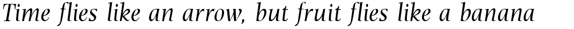 Esperanto Italic