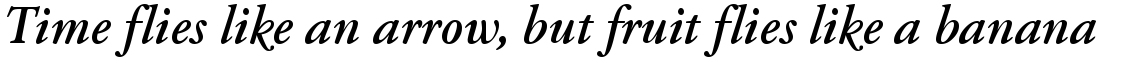 Garamond Classico Bold Italic