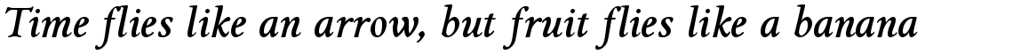 Griffo Classico Bold Italic