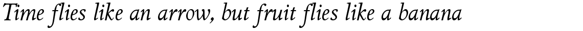 Griffo Classico Italic