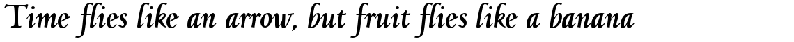 Jenson Classico Bold Italic