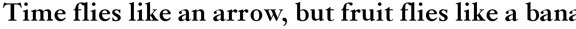 Kis Classico Bold