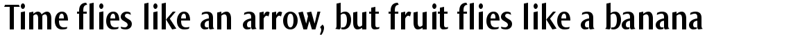 Norma Condensed Bold