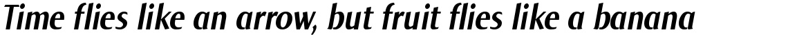 Norma Condensed Bold Italic